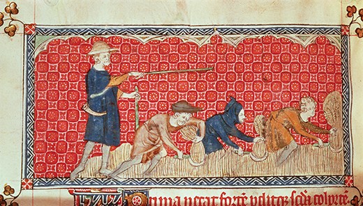 Roy 2 B VII f.78 Reaping corn harvest in August, from the Queen Mary Psalter, c.1310-20 (vellum)