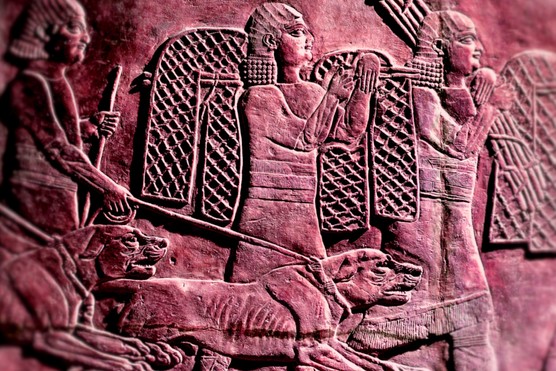 This 7th-century BC relief from the palaces of Nineveh shows Assyrian king Ashurbanipal hunting lions — a dramatic symbol of strength and kingship in ancient Mesopotamia.