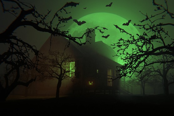 Ben Machell - Ghost Hunting WL AN_