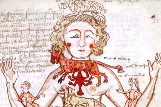 This 15th-century 'Zodiac Man' illustrates how each sign of the zodiac was thought to govern a different part of the human body. Such images helped shape early modern astrology, which blended medieval medical theory with renewed interest in celestial influence. Astrological medicine guided decisions from diagnosis to bloodletting, reflecting a world in which the heavens were seen as active forces in human health and destiny.