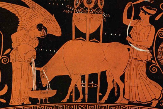 An ancient Greek vase depicts animal sacrifice of a cow by two women
