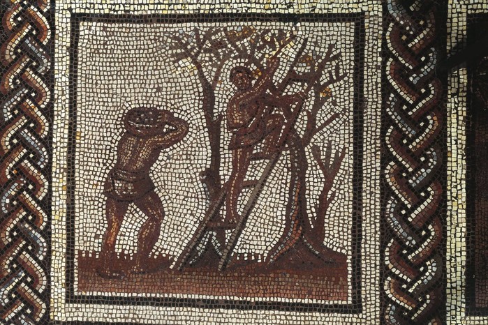 Mosaic representing apple picking This Roman mosaic from Saint-Romain-en-Gal depicts figures harvesting apples.