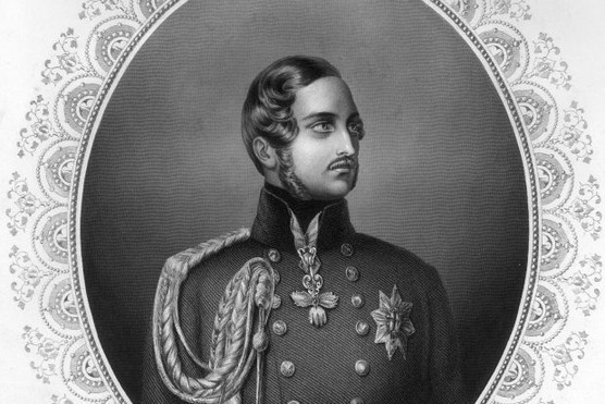 Portrait of Prince Albert Portrait of Prince Albert