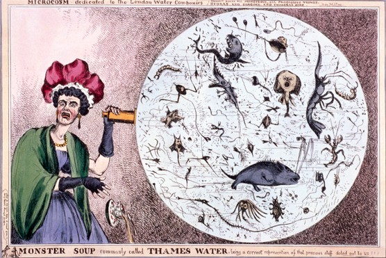 'Monster soup commonly called Thames water, being a correct representation of that precious stuff doled out to us!!!', 1828; showing an ugly woman holding a spy glass which touches the circumference of a large circle representing a magnified drop of water filled with grotesque aquatic creatures. A satire on the Metropolitan Water Supply.