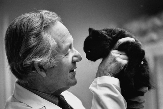 Author/veterinarian Dr. James Alfred Wight (pen name James Herriot) holding up a black cat that he is examining at his veterinary surgery. (Photo by Ian Cook/Getty Images)