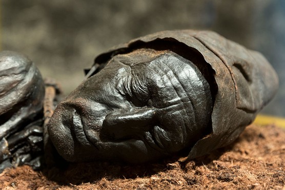 A statue of Tollund Man, a bog body from the Iron Age. (Photo by Getty Images)