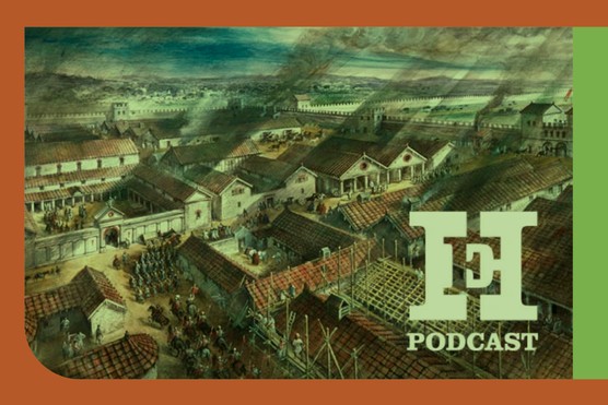 HEXA Roman Brit WK3 Leads