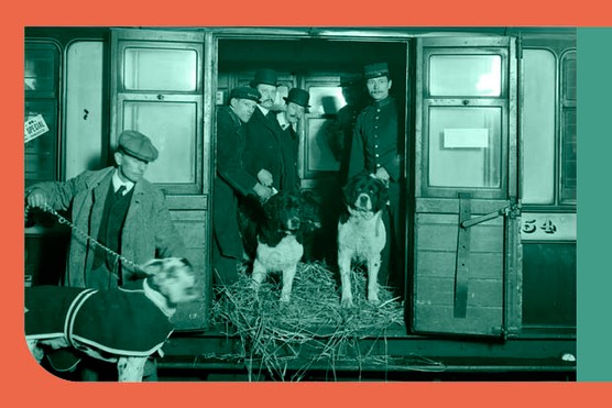 Manchester dog show, c1909