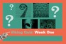Vikings quiz - week one