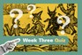 HEXA Witchcraft WK3 Quiz
