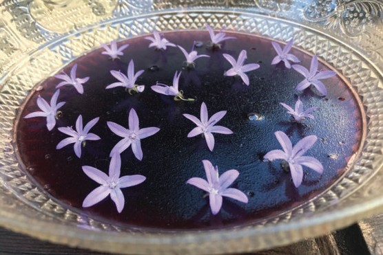 Claret jelly (Picture by Sam Nott)