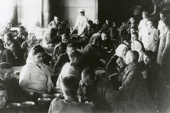 Pod Dan Healey - Gulag Doctors WL