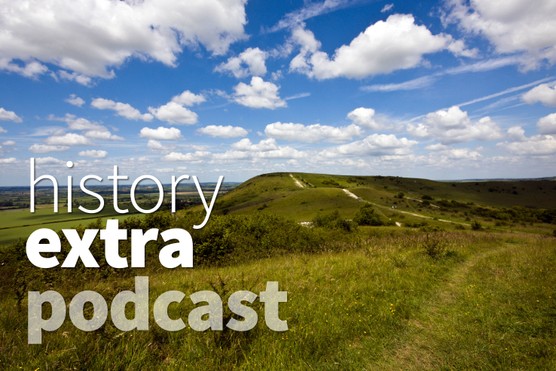 Ivinghoe Brecon. (Image by Alamy)