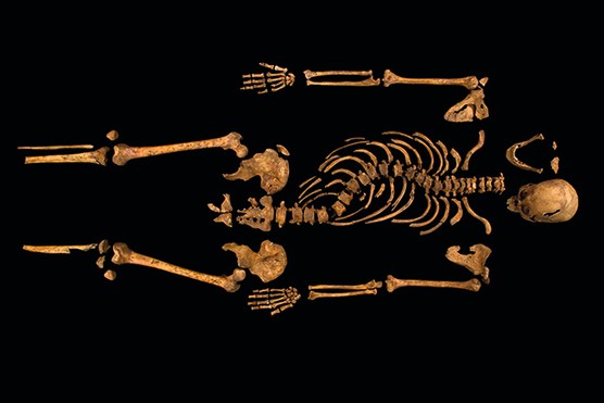 The skeleton exhumed from beneath a Leicester car park in 2012. The remains contained features matching Tudor descriptions of Richard III, and injuries to the skull and body inflicted at the battle of Bosworth in 1485 (Photo courtesy of the University of Leicester) The skeleton exhumed from beneath a Leicester car park in 2012. The remains contained features matching Tudor descriptions of Richard III, and injuries to the skull and body inflicted at the battle of Bosworth in 1485