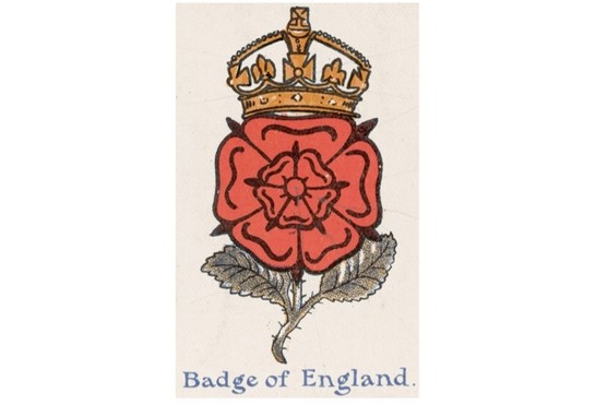 A crowned Tudor rose. (Photo by Hulton Archive/Stringer via Getty Images) A crowned Tudor rose. (Photo by Hulton Archive/Stringer via Getty Images)