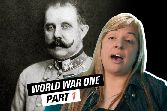 Did Franz Ferdinand's death really start World War One?